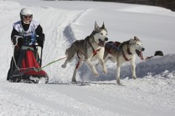 Kandersteg 2013